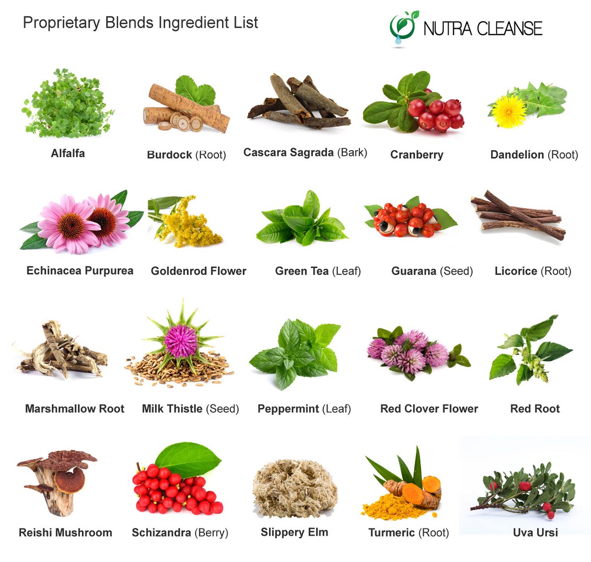 5-day-total-body-cleanse-ingredients