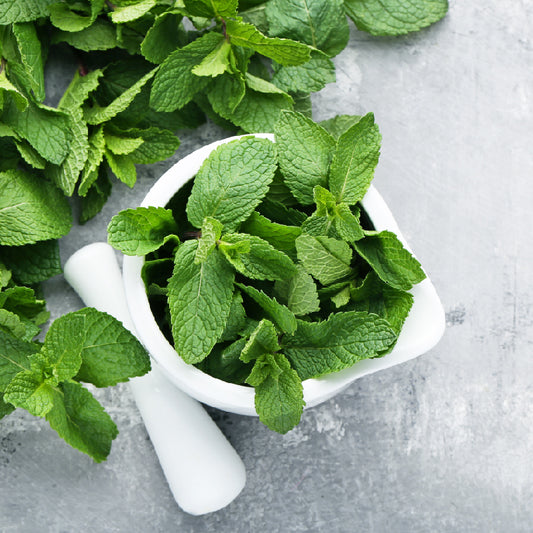 How Peppermint Helps Detox and Cleanse the Body