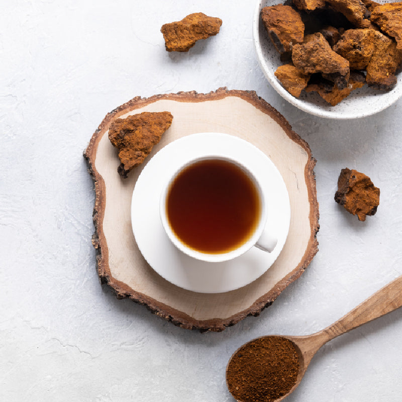 How Reishi Mushroom Helps Detox and Cleanse the Body